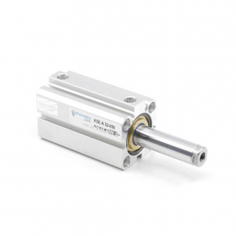 Пневмоцилиндр KS-025-RSA-0005 Pemaks