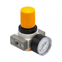 FER-02MINI Регулятор давления